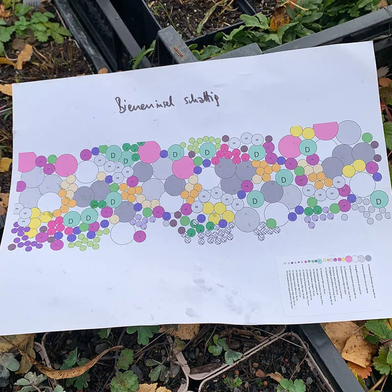 innocent volunteering masterplan